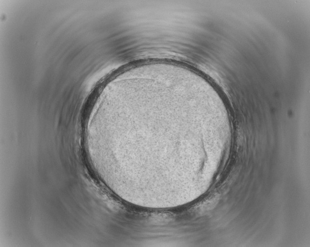 X0000088070979200706011509