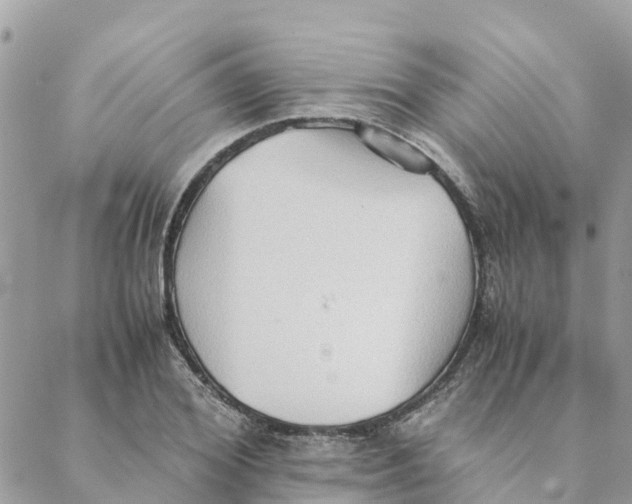 X0000088070980200706011509