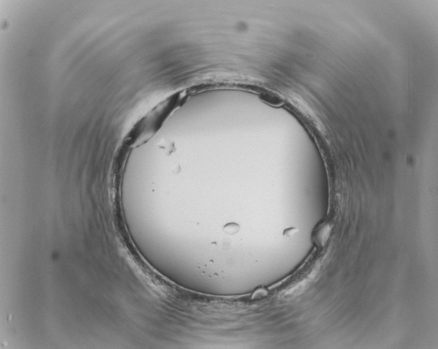 X0000088070981200706011509