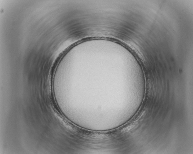 X0000088070982200706011509