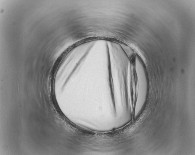 X0000088070983200706011509