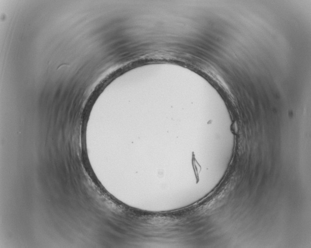 X0000088070984200706011509