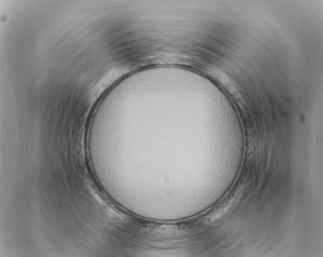 X0000088070986200706011509