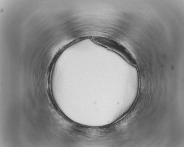 X0000088070987200706011509