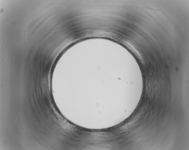 X0000088070988200706011509