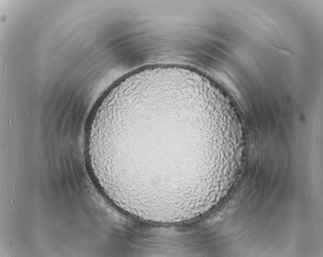 X0000088070990200706011509