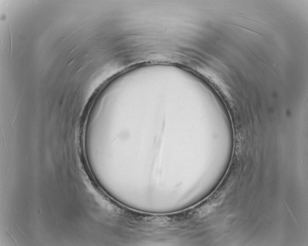 X0000088070991200706011509