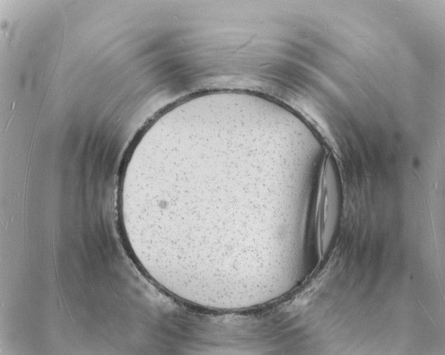 X0000088070992200706011509