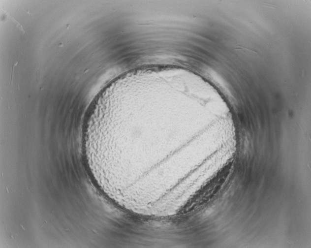 X0000088070994200706011509