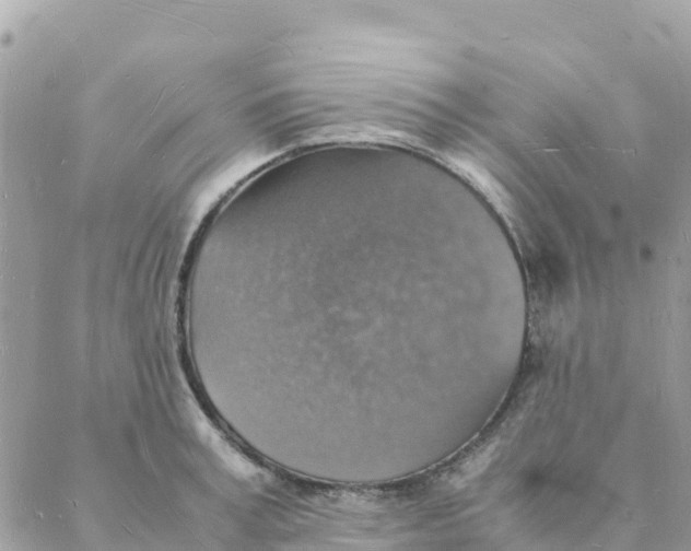 X0000088070995200706011509