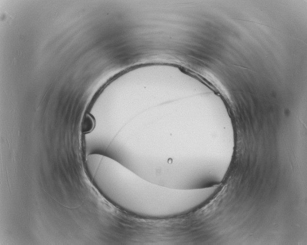 X0000088070996200706011509