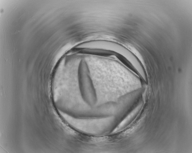 X0000088070997200706011509