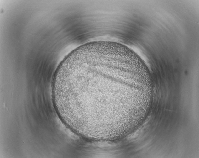 X0000088070998200706011509