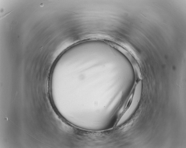 X0000088070999200706011509