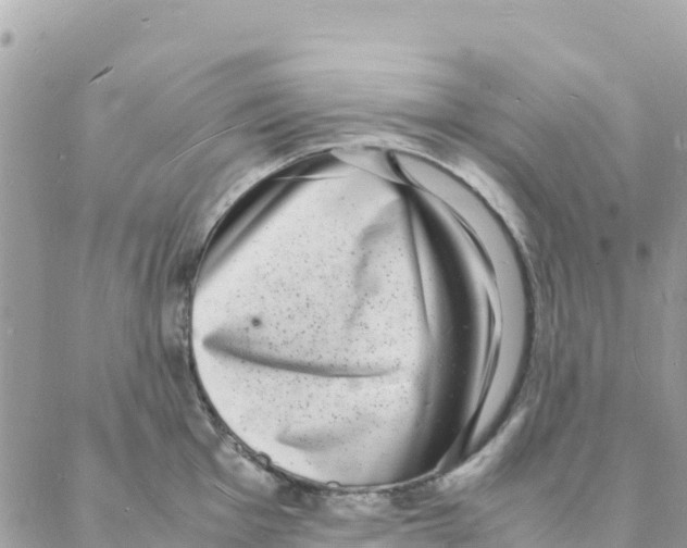 X0000088071001200706011509