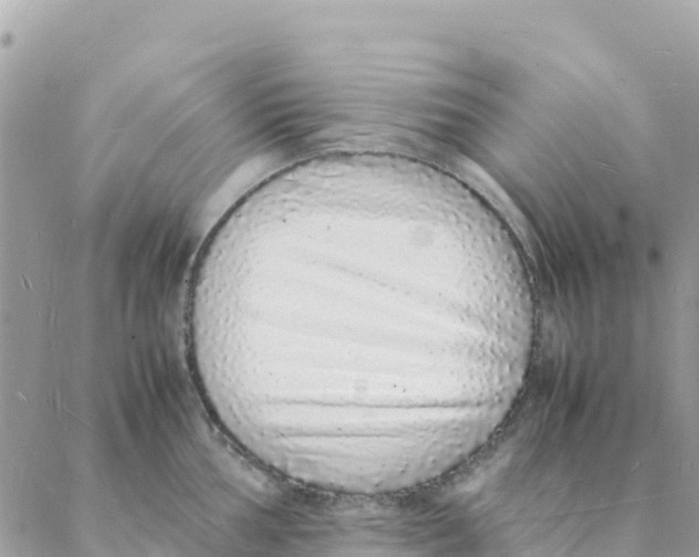 X0000088071002200706011509