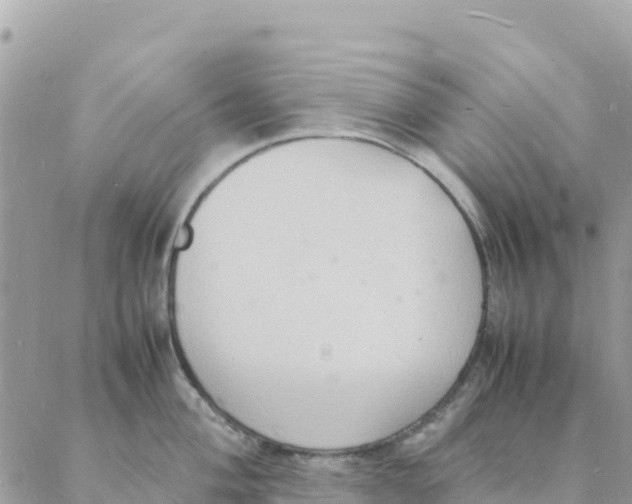 X0000088071004200706011509