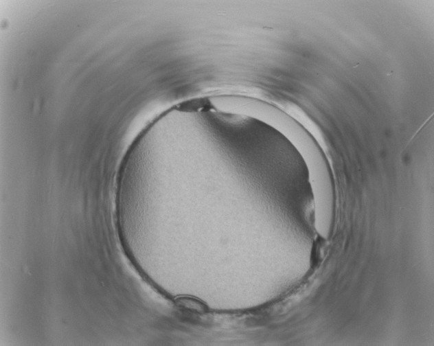 X0000088071005200706011509