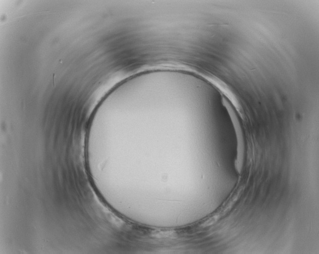 X0000088071006200706011509