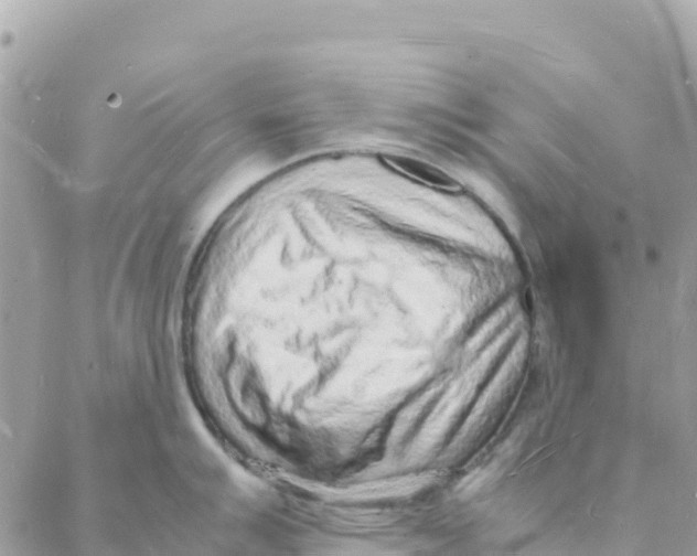 X0000088071007200706011509