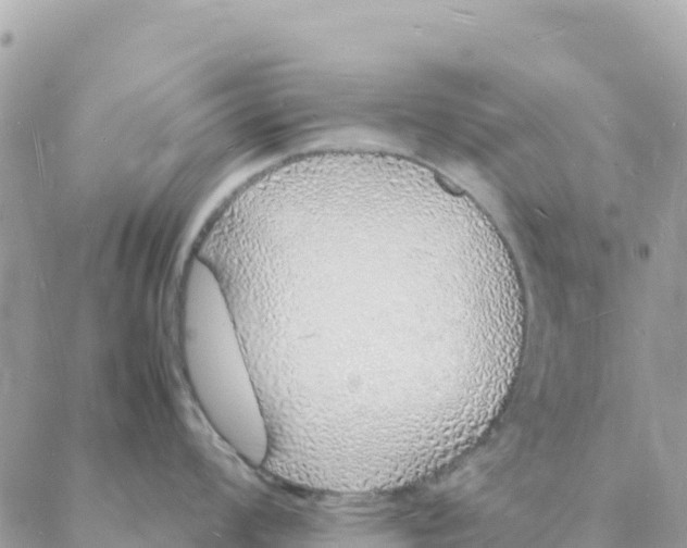 X0000088071008200706011509