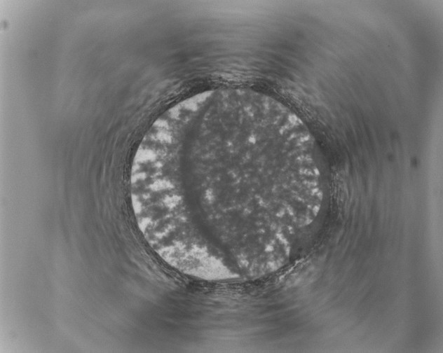 X0000088071009200706011508