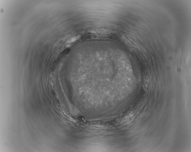 X0000088071010200706011508