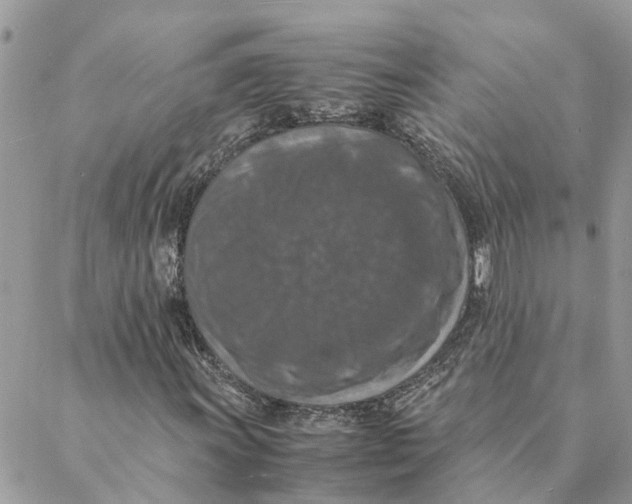 X0000088071011200706011508