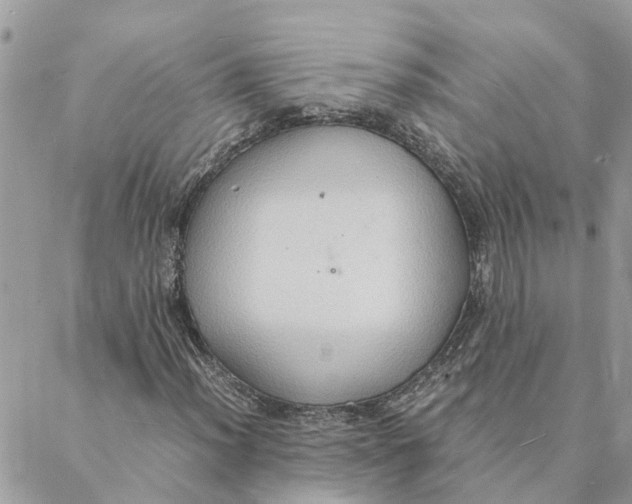 X0000088071012200706011508