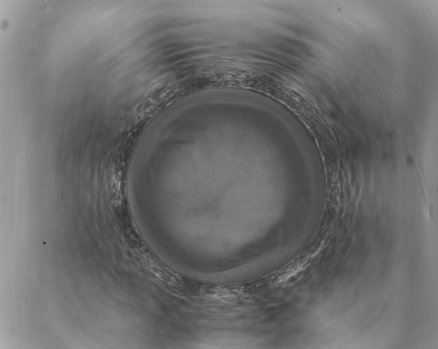 X0000088071013200706011508