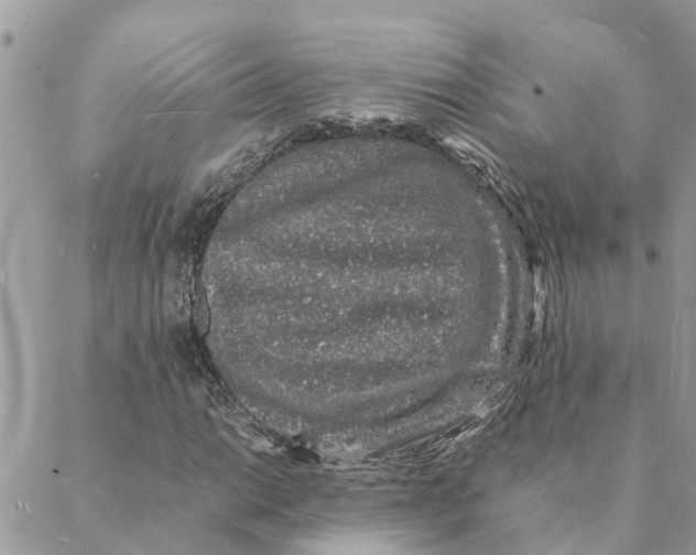 X0000088071014200706011508