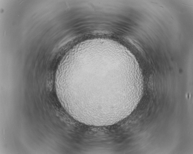 X0000088071015200706011508