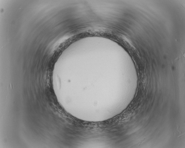 X0000088071016200706011508