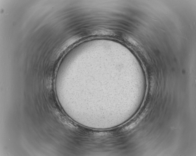 X0000088071017200706011508