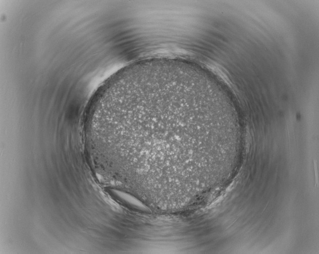 X0000088071018200706011508