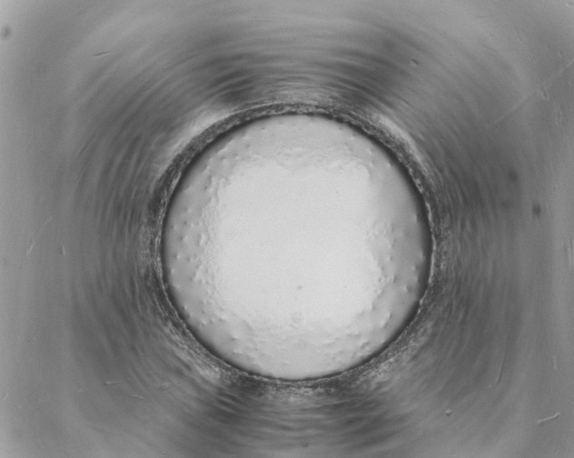 X0000088071019200706011508