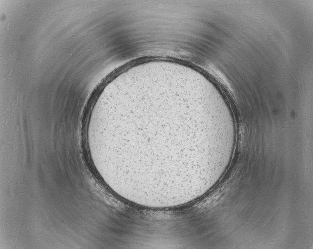 X0000088071020200706011508