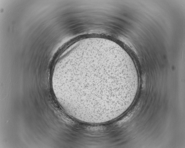 X0000088071021200706011508