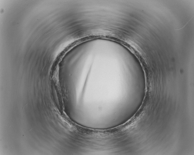 X0000088071022200706011508