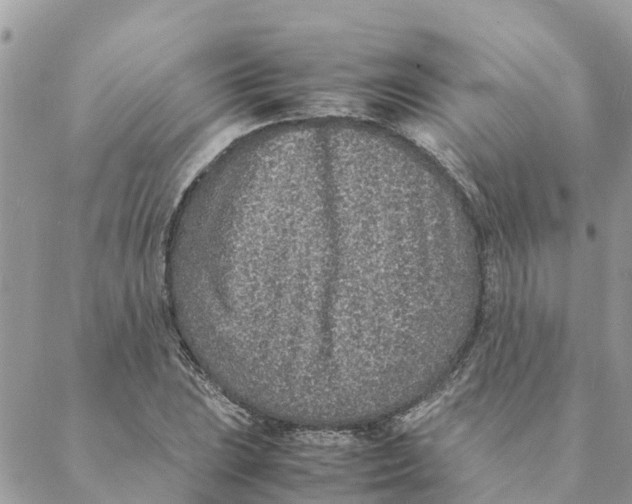 X0000088071023200706011508