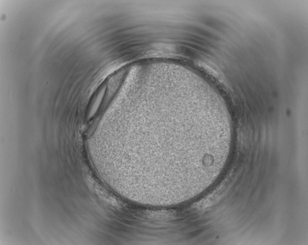 X0000088071025200706011508