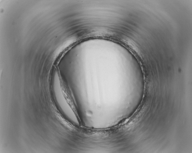 X0000088071026200706011508