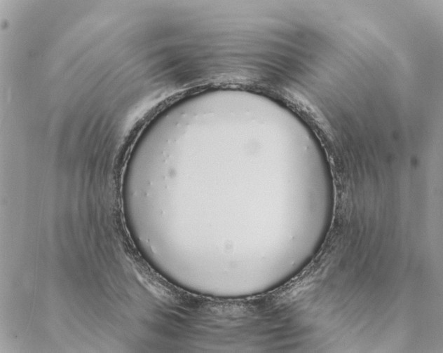 X0000088071027200706011508