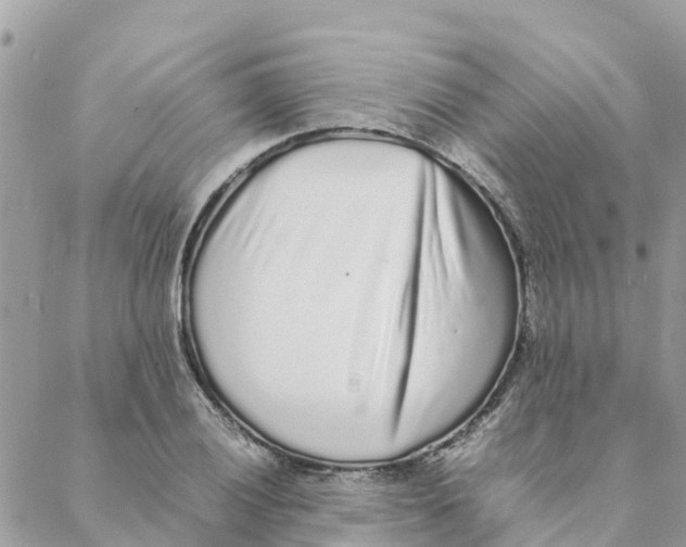 X0000088071028200706011508