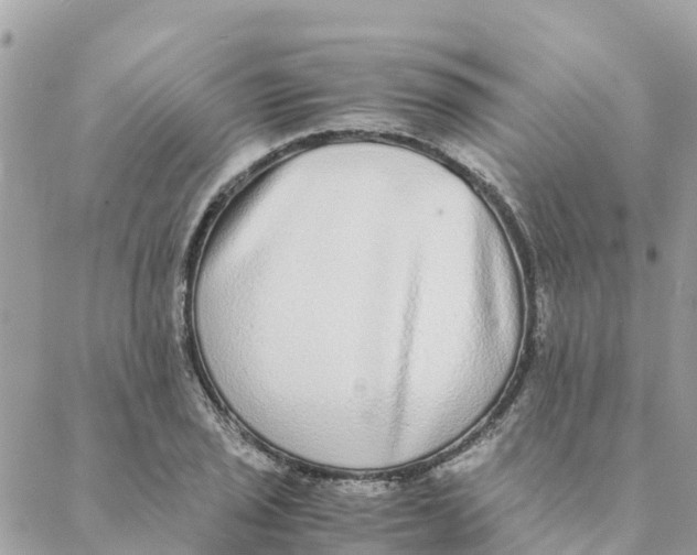 X0000088071029200706011508