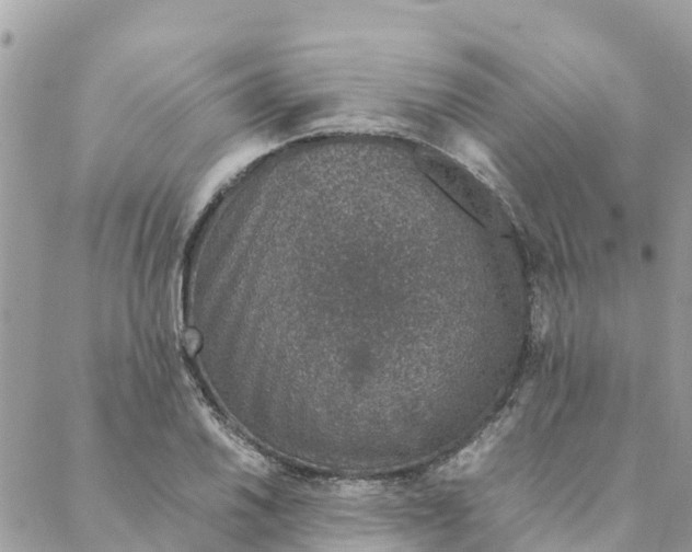 X0000088071030200706011508