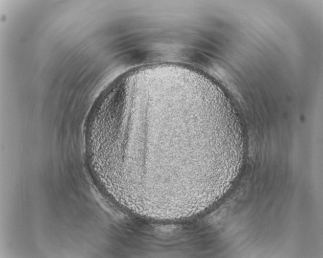 X0000088071031200706011508