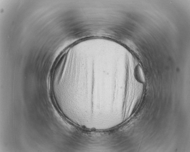 X0000088071032200706011508