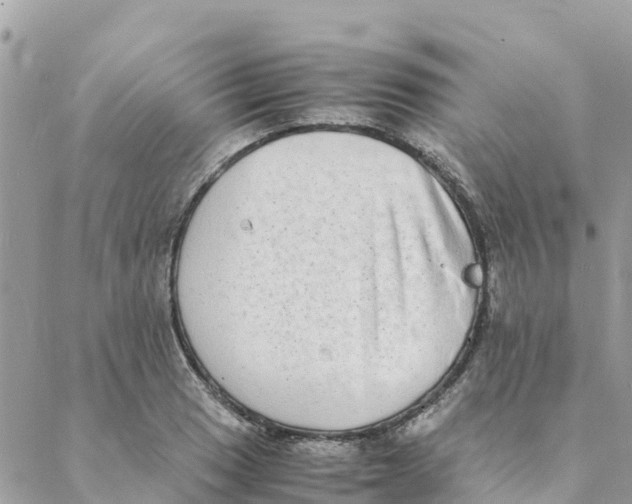 X0000088071033200706011508