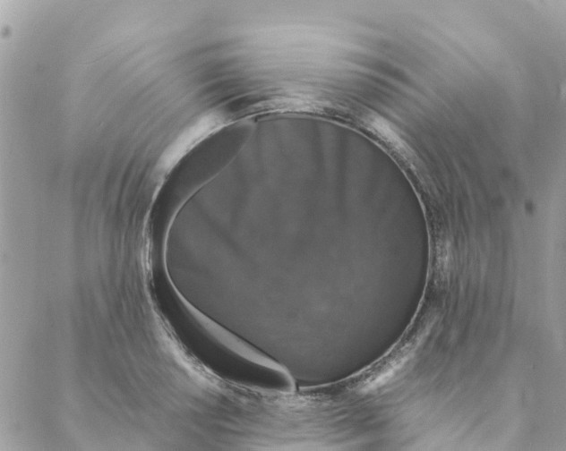 X0000088071034200706011508